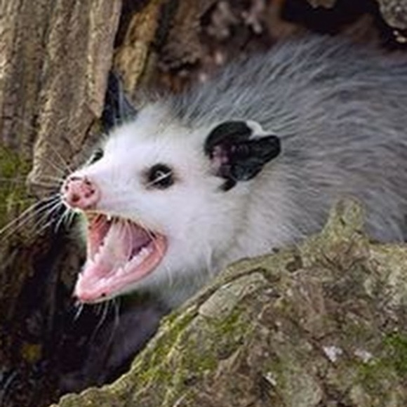 About Me + Shipping Deets - Picture 1 of 1